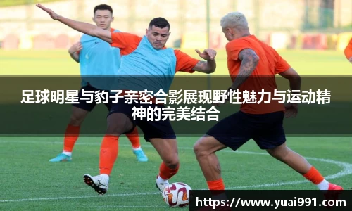 365WM完美体育官方app